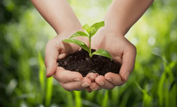 SUSTAINABLE DEVELOPMENT